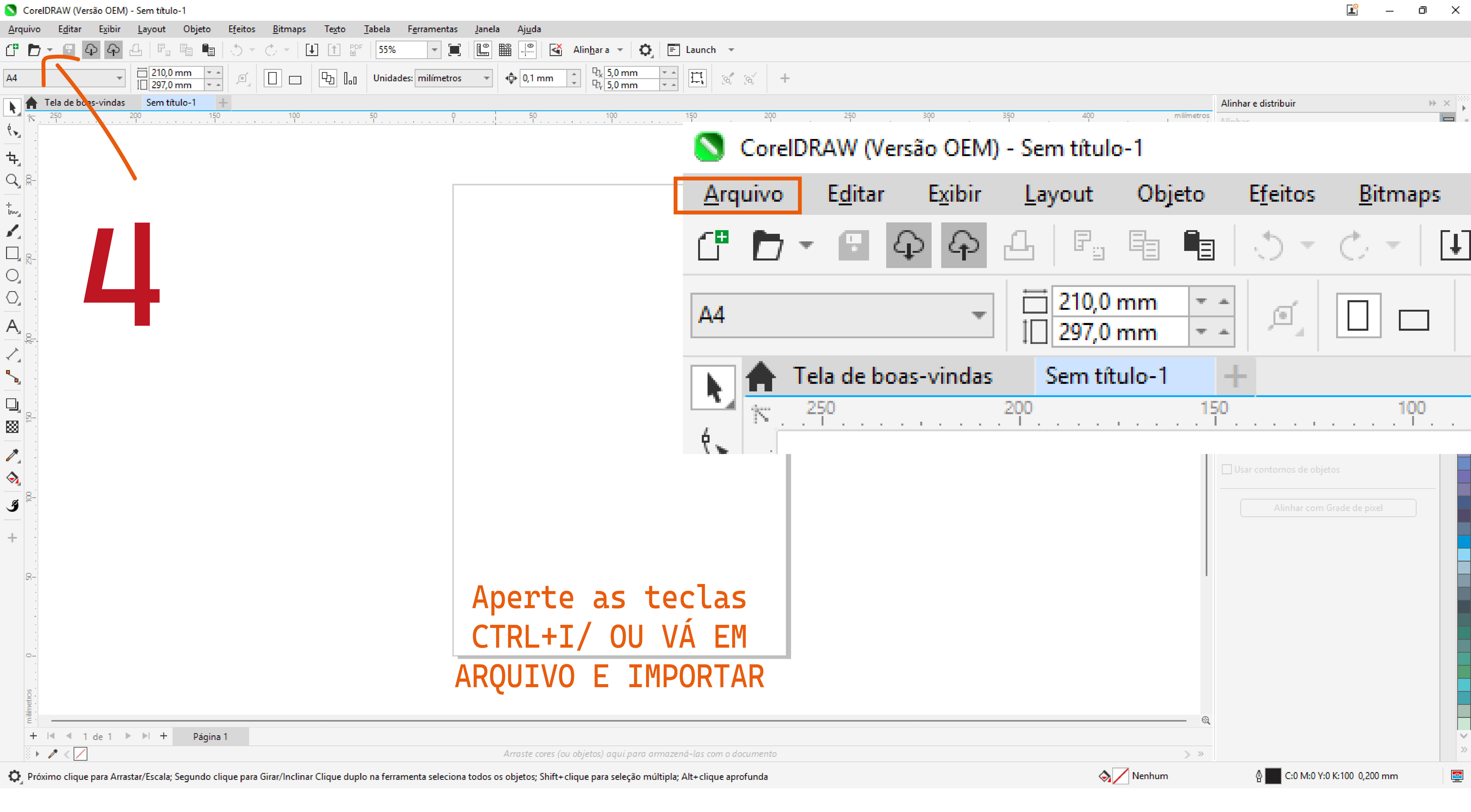 Passo 4: Selecionar o Perfil de Cor (ICC)